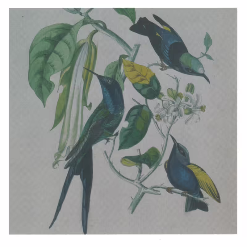Susumu Yokota
