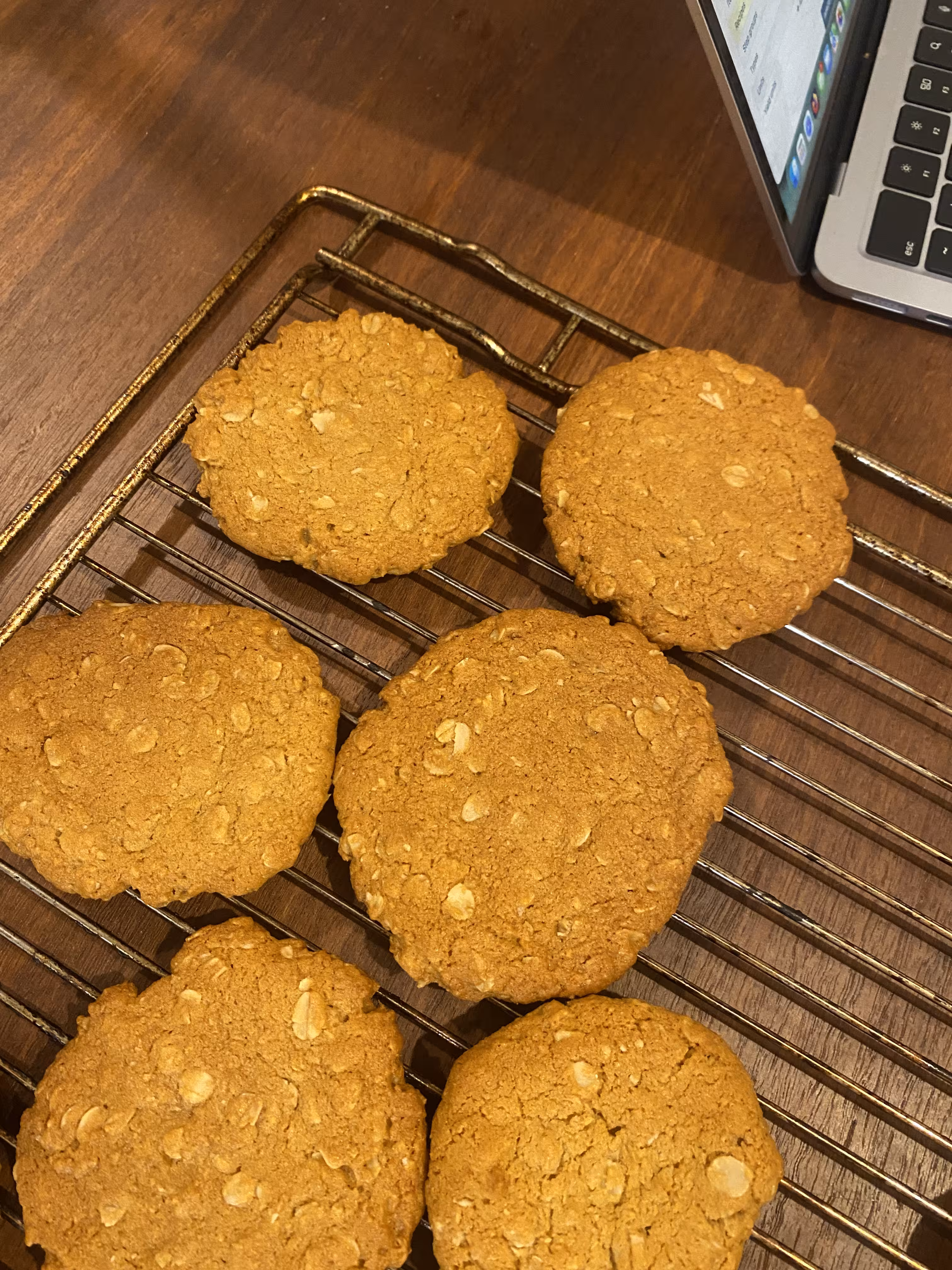 Anzac Biscuits on an oven rack