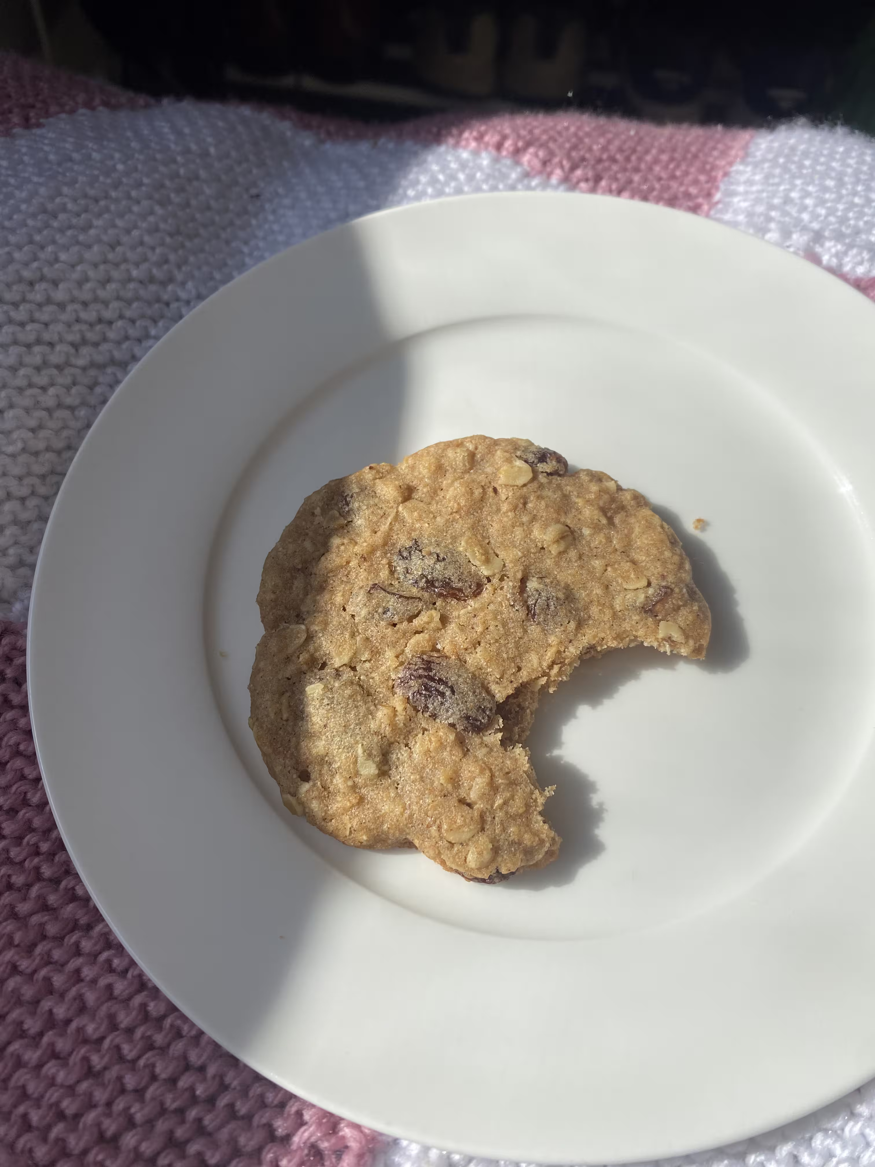 Photo of Oat Sultana Cookies
