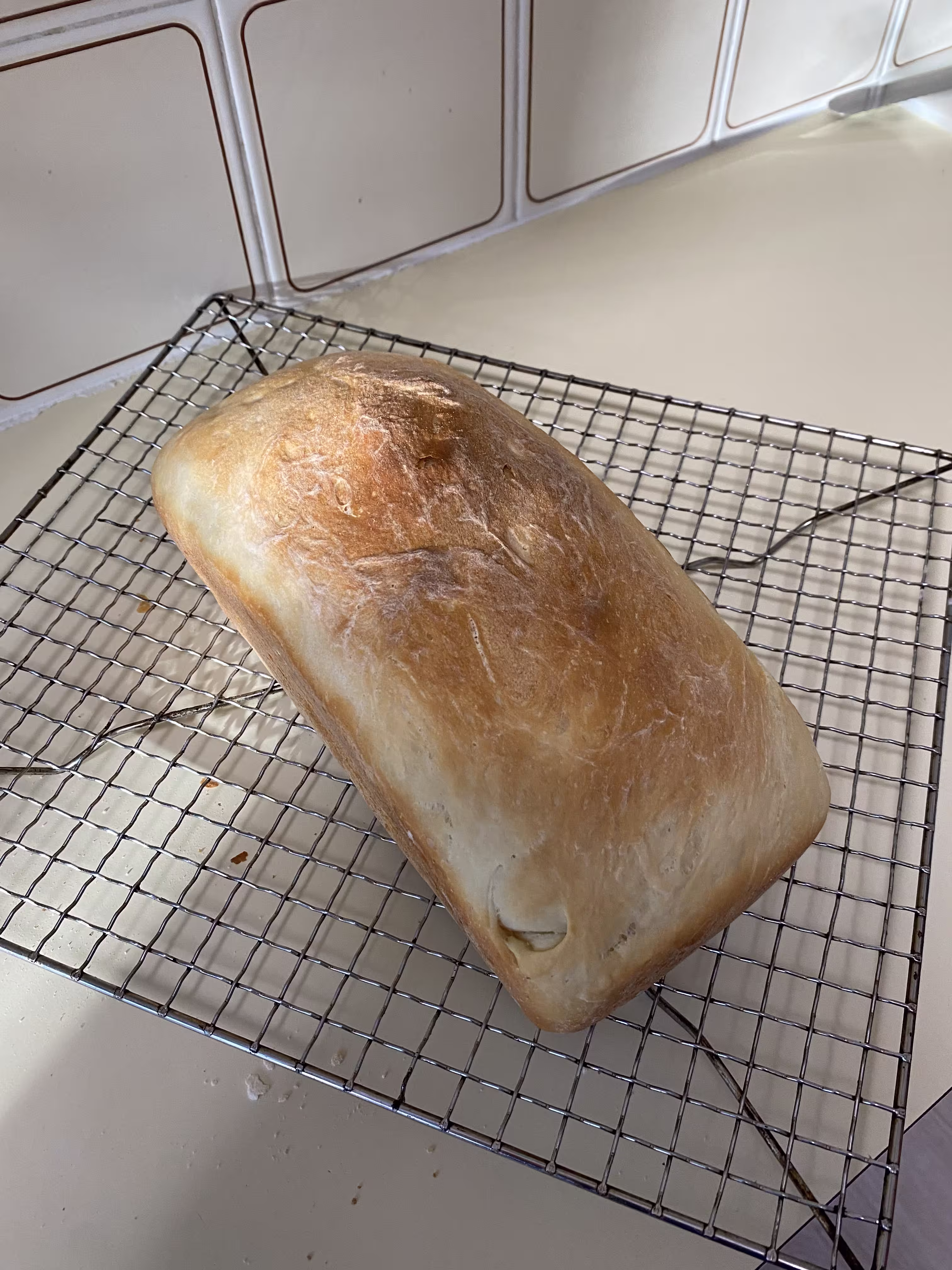 Photo of White Bread